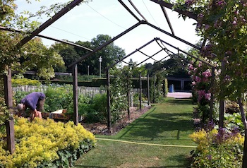 Kungsparken gardener