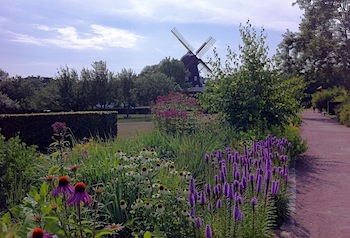 The Decided Ones, park garden